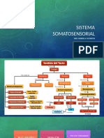 Sistemas Sensoriales 2