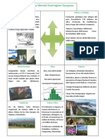 Mapa Mental Ecorregion Guayana