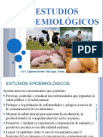 13 Estudios Epidemiologicos UCS