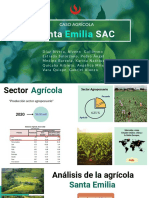 Caso Agrícola Emilia SAC - Grupo 6