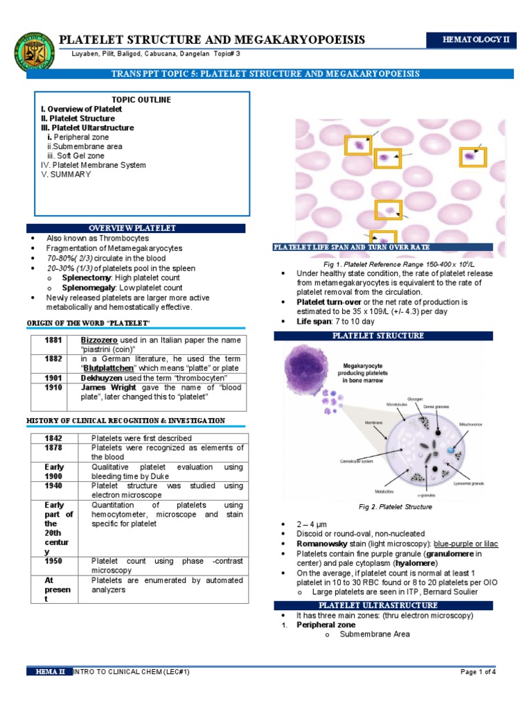 TRANS PPT TOPIC - Platelet | PDF | Platelet | Coagulation