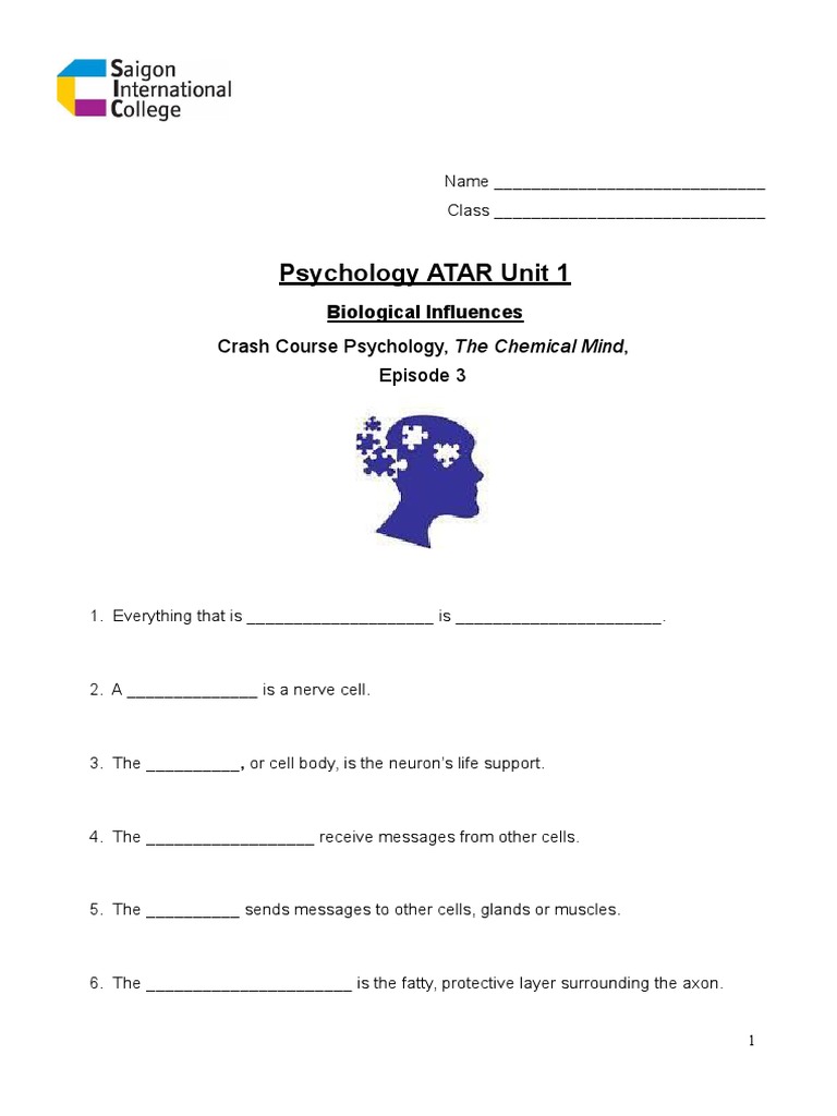 PAU1 S2 L3 Crash Course 3 The Chemical Mind Questions