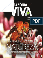 Artesanato orgânico da Amazônia ganha mercados internacionais