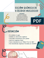 Composición química de lípidos y ácidos nucleicos