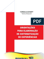 Orientacoes para Elaboracao Desistematizacao de Experiencias