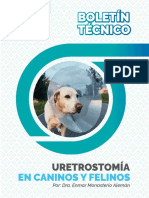 Boletin URETROSTOMIA EN CANINOS Y FELINOS Dic 2021