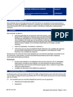 AA TS 101 001 Light Vehicles Standard (Vehiculos Livianos) PDF