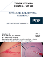 Patología del sistema nervioso veterinario