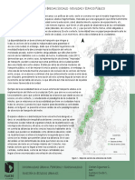 Accesibilidad y brechas sociales - movilidad y espacio publico