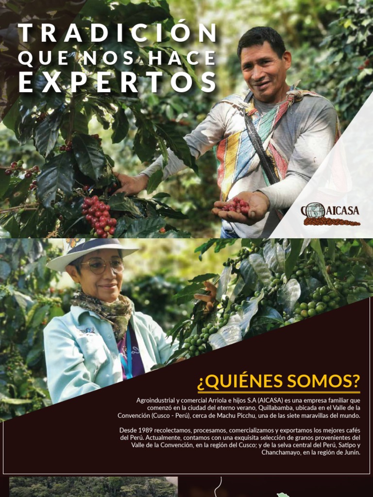 Brochure Aicasa Pdf Café Agricultura