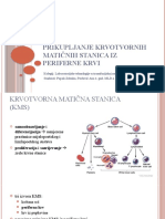 Prikupljanje KMS Iz Periferne Krvi
