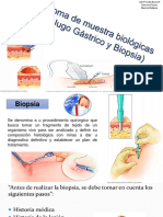 Semana 11 Jugo Gastrico y Biopsia