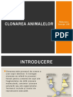 Clonarea