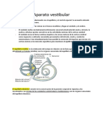 Aparato vestibular control equilibrio