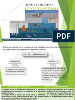 Leyes de La Termodinamica