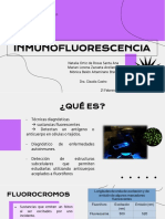 Inmunofluorescencia - Pato