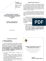 Normas Generales y Modelo para La Elaboración y Presentación Del Informe de Pasantías o Prácticas Profesionales PNF.