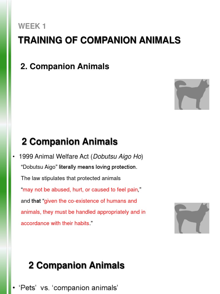 Training of Companion Animals: Week 1 | PDF