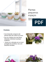 Plantas para Pequenos Espaços