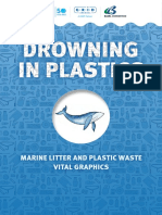 Marine Litter and Plastic Waste Vital Graphics