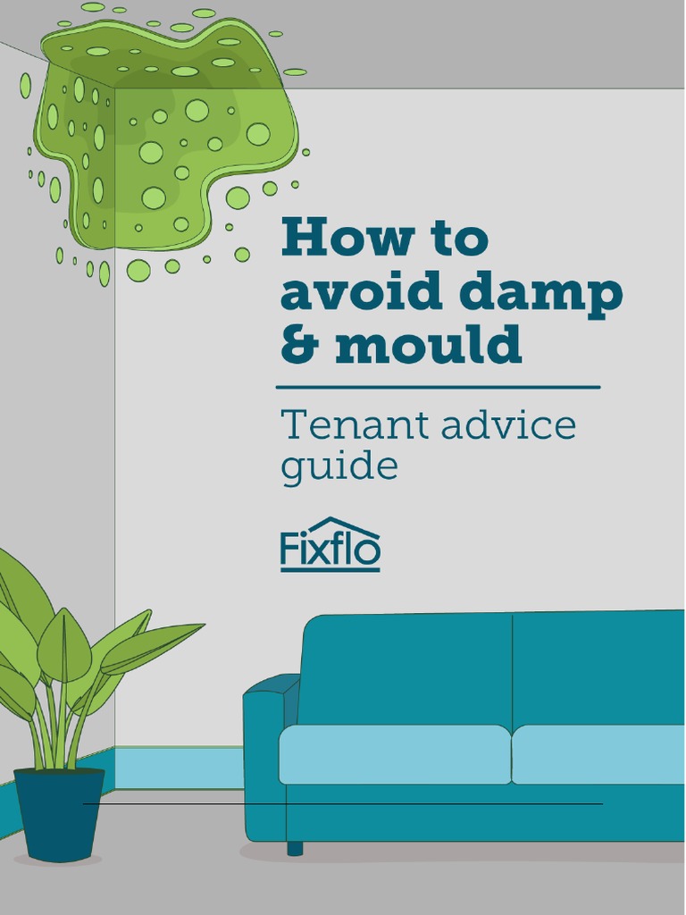 How To Avoid Damp and Mould For Tenants PDF Civil Engineering Home