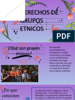 Derechos de Grupos Etnicos