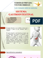 Sitema Gastrointestinal Neonatal