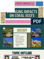 Damaging Impacts On Coral Reefs