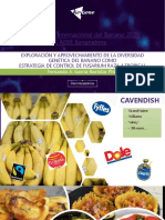 Mejoramiento Genetico de Banano Por Resistencia A Fusarium Raza 4 Tropical