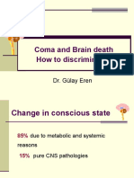 Coma and Brain Death How To Discriminate?: Dr. Gülay Eren