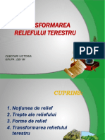 Transformarea Reliefului Terestru