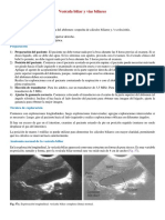 Ecografía de Vesícula Biliar y Vías Biliares y Páncreas