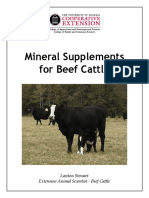 Mineral Supplements For Cattle