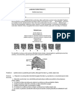 Lab - Cvičení Dermatoglyfy Machálek