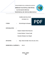 INFORME 03-Micro de Alimentos