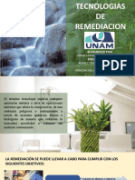 Tecnologias de Remediacion