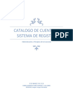Catalogo de Cuentas y Sistema de Registro