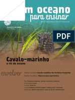 Cavalo-marinho, o rei do oceano