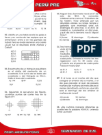 Seminario de R.m.-Peru Pre