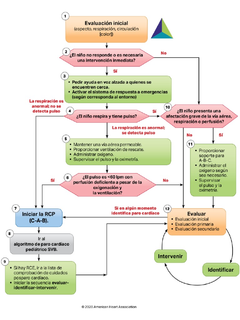 Algorithm-PALS Ped Systematic Approach Wnos 200615 | PDF