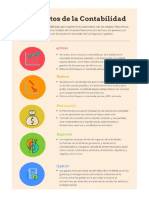 Elementos de La Contabilidad_AdrianGonzales