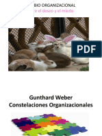Gunthard-Weber y Leyes Organizacionales
