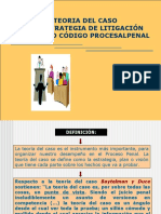 Teoria Del Caso - Proceso Penal