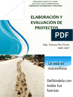 Elaboraciòn de Proyectos 0CT Mar 2017