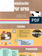 Intoxicación Por Urea