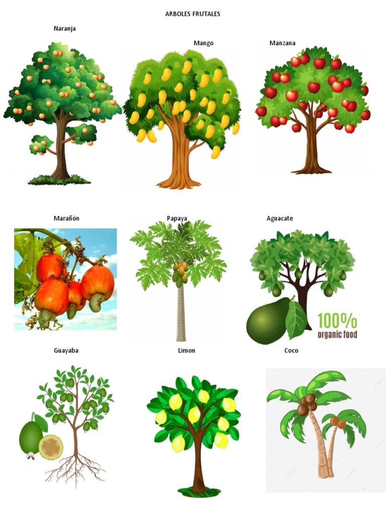arboles-frutales-pdf