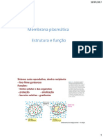 Membrana Plasmática Estrutura Função