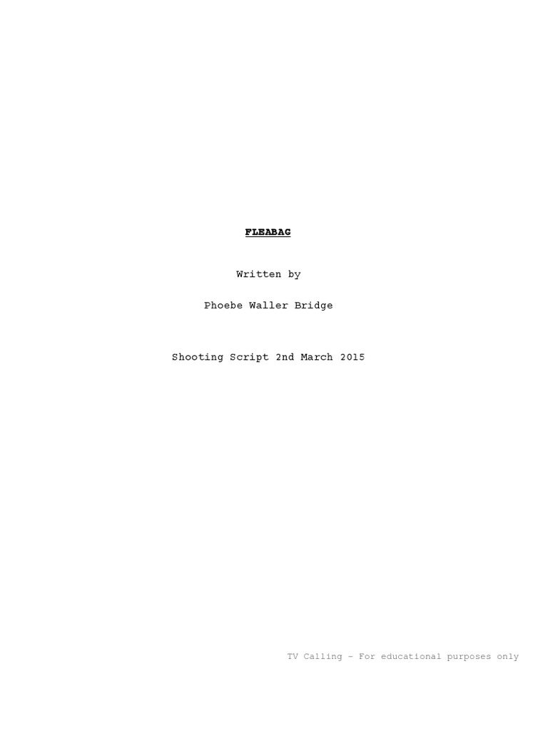 Fleabag Pilot Script Analysis | PDF