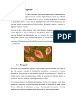 Trabalho - Parasitologia