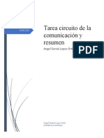 Circuito de La Comunicación y Resumen